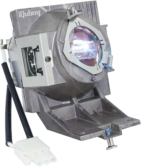 High-Quality RLC-117 Projector Lamp with Housing