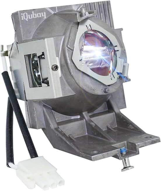 High-Quality RLC-117 Projector Lamp with Housing