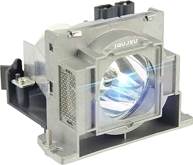 Premium Projector Lamp Assembly with OEM Bulb