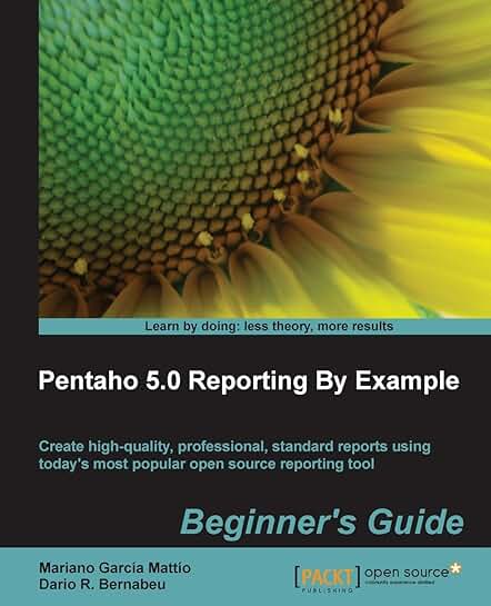 Beginner's Guide to Pentaho 5.0 Reporting