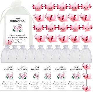 90PCS Mini Resin Axolotl Thank You Gift Set with Cards and Gift Bags