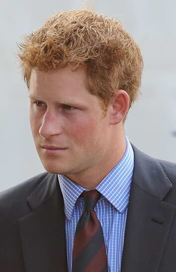 Public Appearance of Prince Harry Addressing Veterans, 16x20