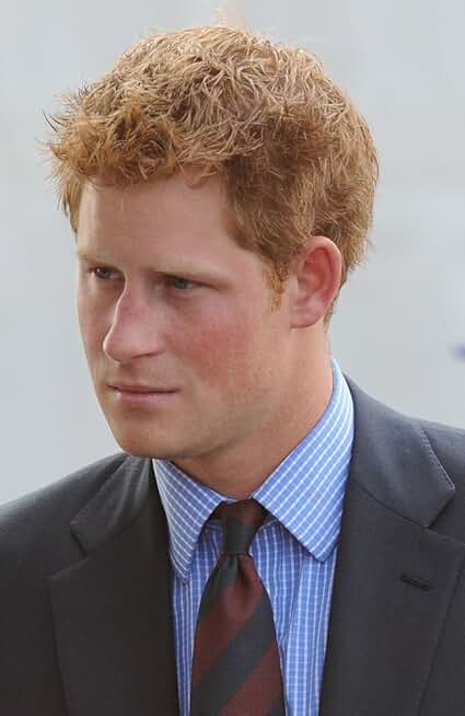 Public Appearance of Prince Harry Addressing Veterans, 16x20