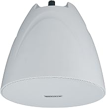 White 5.25-inch pendant speaker for restaurants and retail