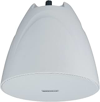 White 5.25-inch pendant speaker for restaurants and retail