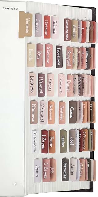 Large Print Laminated Bible Tabs for Easy Reading