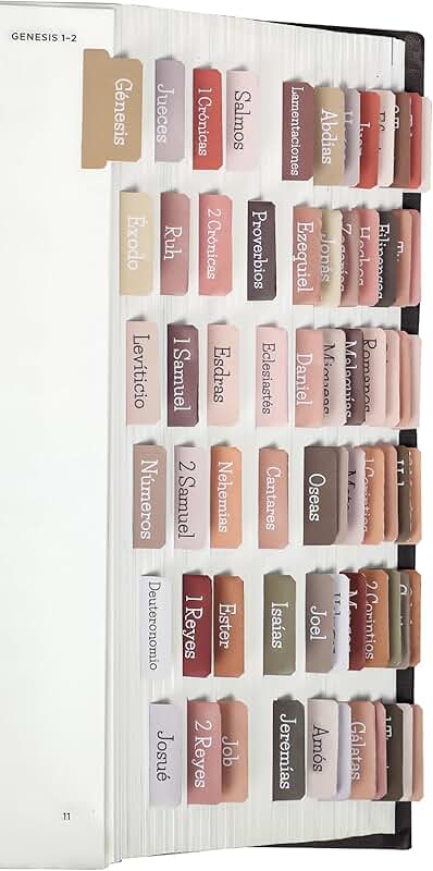 Large Print Laminated Bible Tabs for Easy Reading