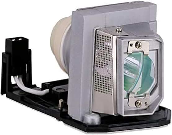 Premium Replacement Projector Lamp with Housing