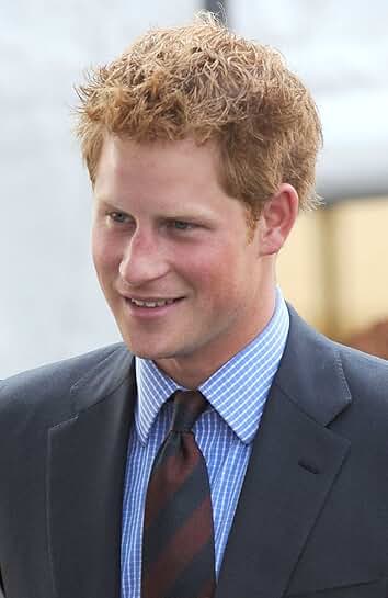 Public Appearance of Prince Harry Addressing Veterans, 16x20