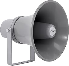 Indoor and outdoor 9.7-inch 20-watt loudspeaker
