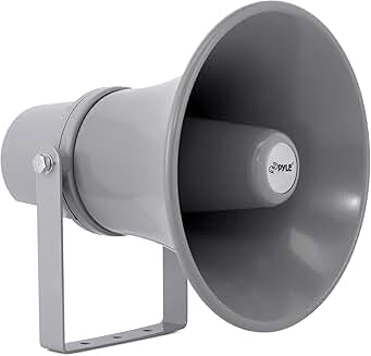 Indoor and outdoor 9.7-inch 20-watt loudspeaker