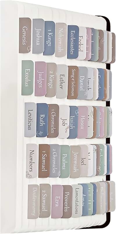 Large Print Bible Tabs with 14 Blank BookTabs