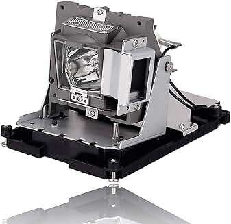Projector Lamp with Housing for DH1017, EH500, X600