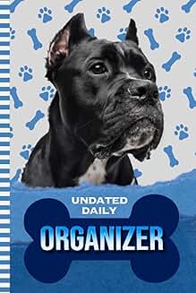 Daily Organizer with To-Do List and Notes