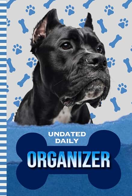 Daily Organizer with To-Do List and Notes