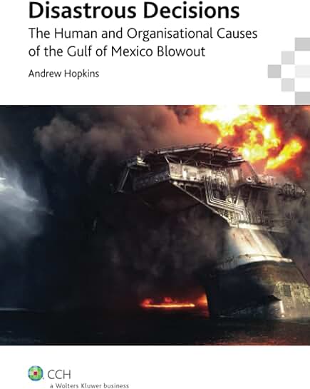 Causes of the Gulf of Mexico Blowout