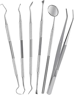Six-Piece Stainless Steel Dental Tools Set