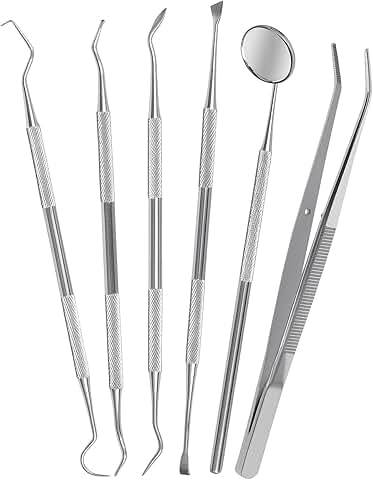 Six-Piece Stainless Steel Dental Tools Set