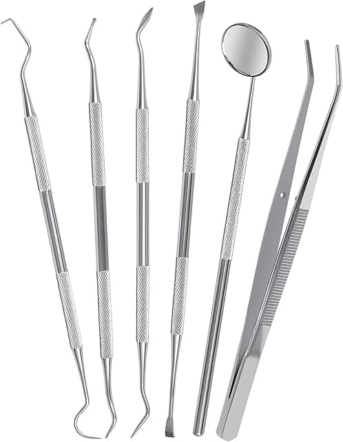 Six-Piece Stainless Steel Dental Tools Set