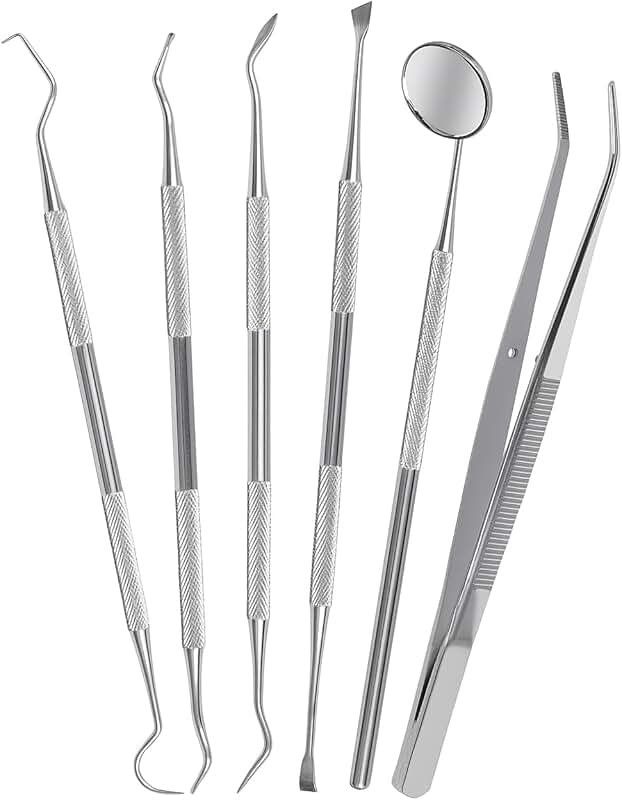 Six-Piece Stainless Steel Dental Tools Set