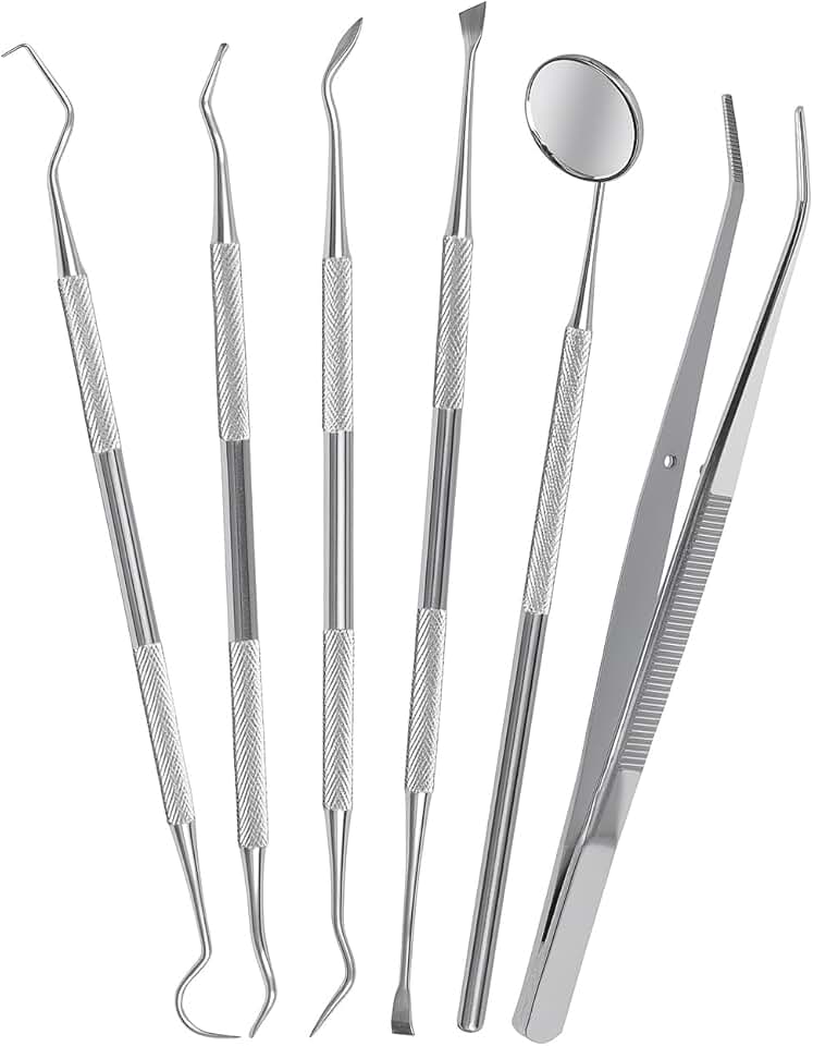 Six-Piece Stainless Steel Dental Tools Set