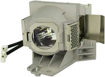 Replacement projector lamp with housing