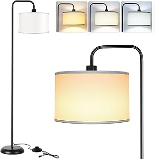 Modern LED Floor Lamp with 3 Color Settings