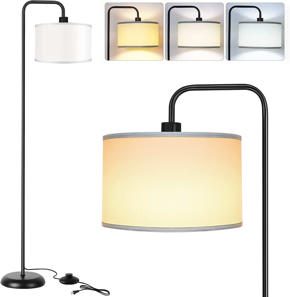 Modern LED Floor Lamp with 3 Color Settings