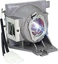 A+ Quality 5J.JGT05.001/RLC-118 Projector Lamp with Housing