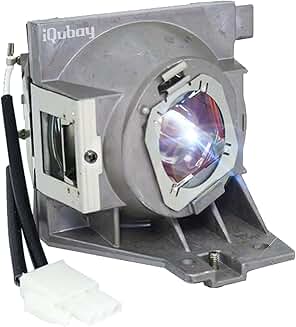 A+ Quality 5J.JGT05.001/RLC-118 Projector Lamp with Housing