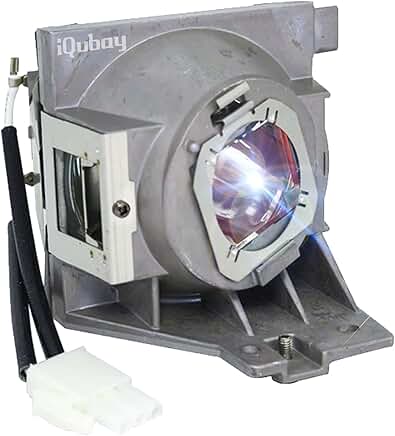 A+ Quality 5J.JGT05.001/RLC-118 Projector Lamp with Housing