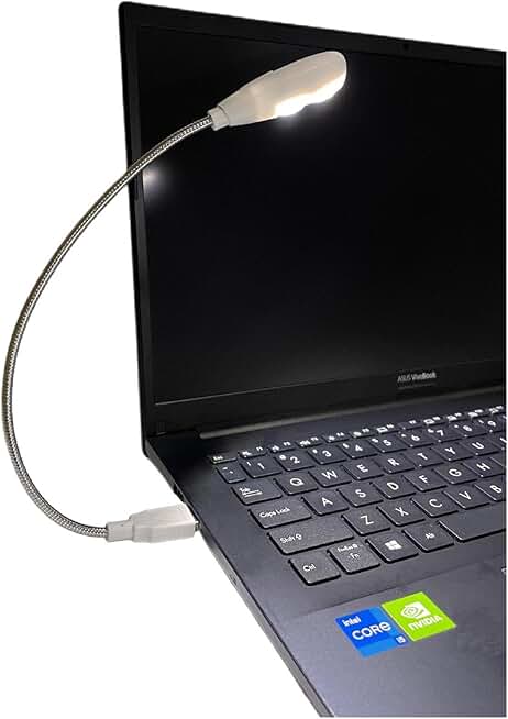 USB LED Reading Lamp with Dimmable Brightness and Flexible Neck