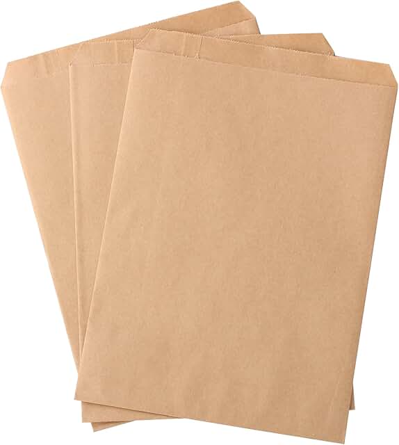 100 plain brown paper bags for gifts and treats