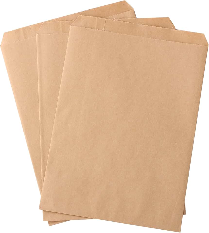 100 plain brown paper bags for gifts and treats