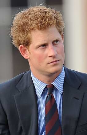 Public Appearance of Prince Harry Addressing Veterans, 16x20