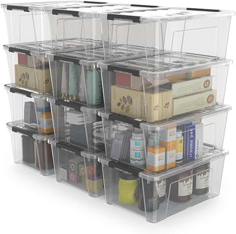 12 Small Clear Plastic Storage Bins with Lids and Handles
