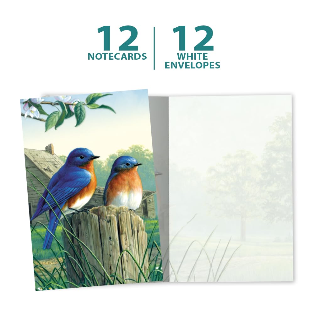 All Occasion Greeting Cards with Bluebirds, 12 Pack