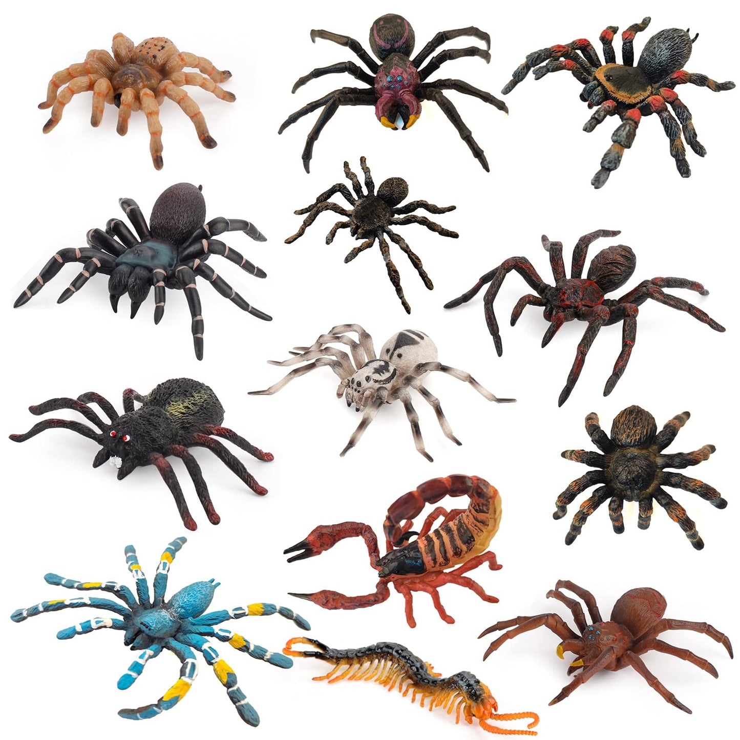 13-Piece Insect and Spider Model Set for Kids