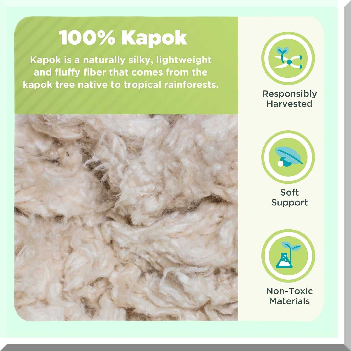 Organic Cotton Kapok Neck Roll Pillow - USA Made - 4" x 12" Zippered Shell - Natural Support for Neck Pain Relief - Eco-Friendly and Hypoallergenic