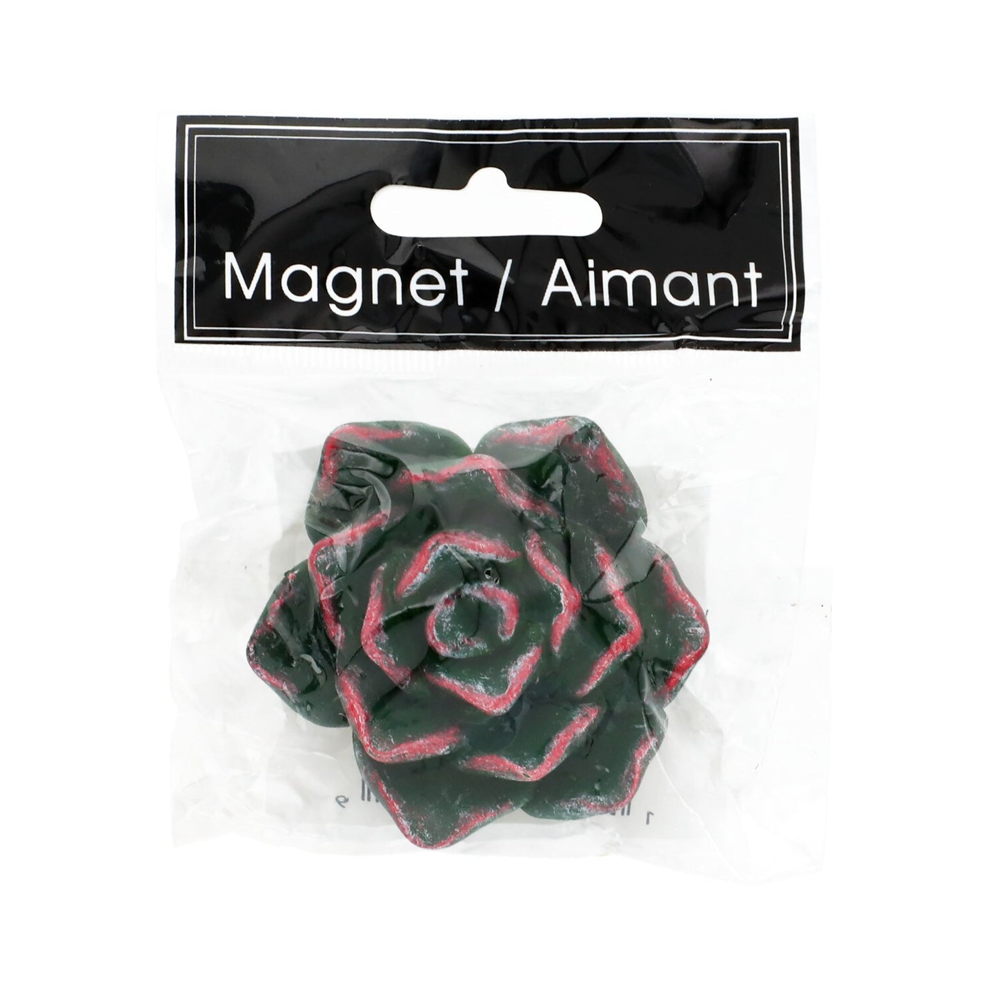 Assorted Succulent Magnets, 2-in. (Pack of 48)