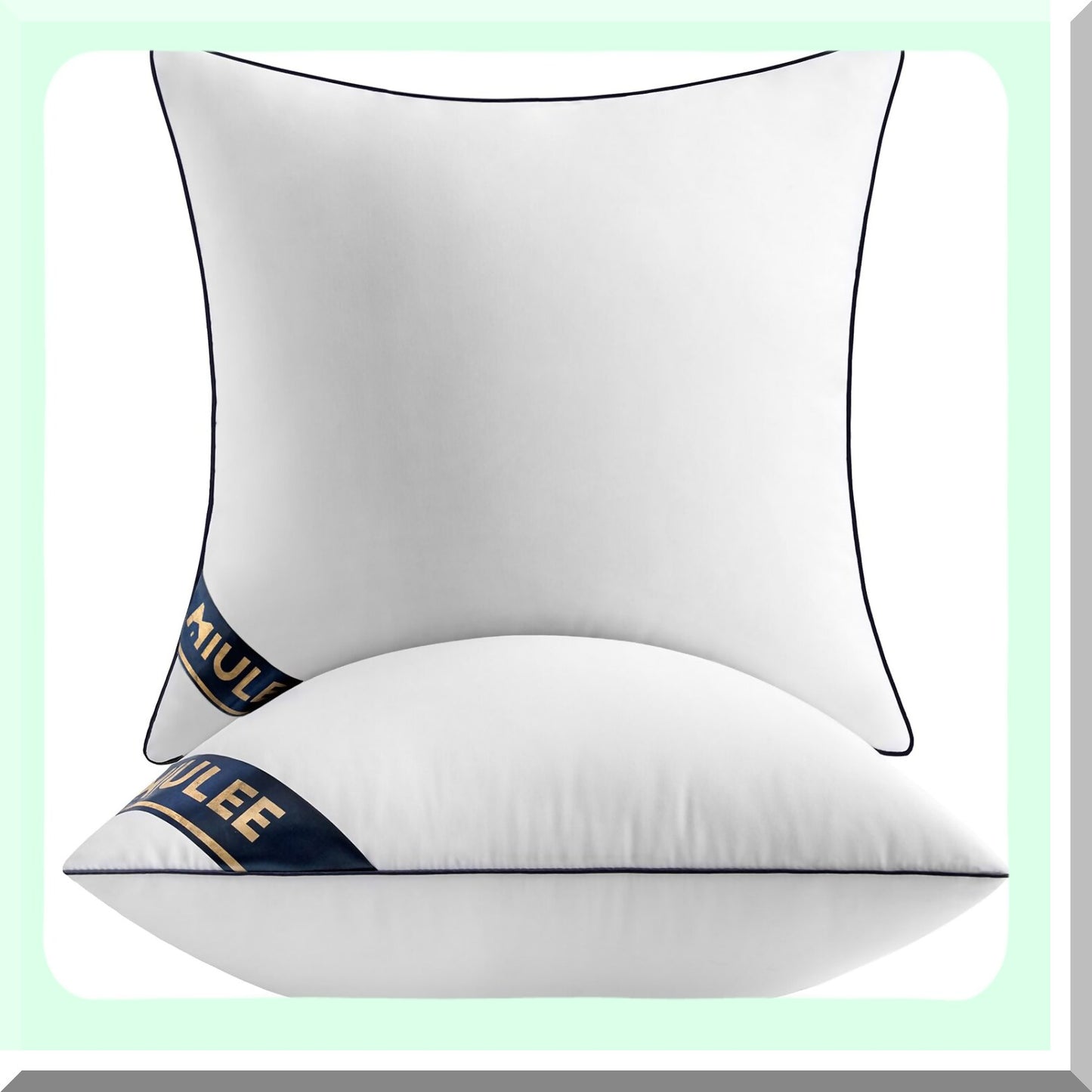 Premium Down Alternative 20x20 Pillow Inserts - Set of 2 Decorative Throw Pillows for Sofa & Couch - Fluffy Pillow Stuffer - 20 Inch Square Cushion Inserts - Hypoallergenic & Plush Fill - Pack of 2