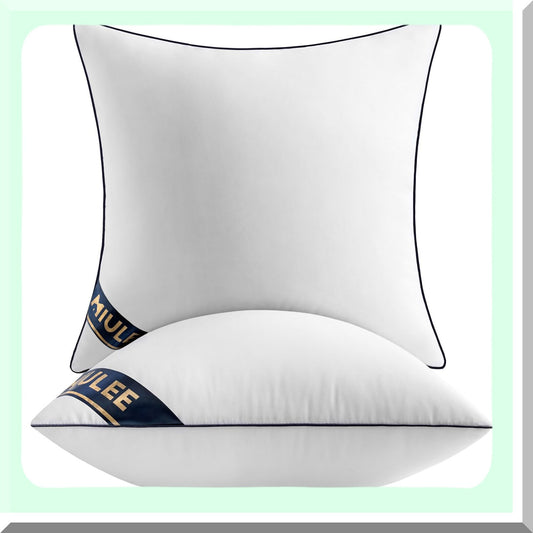 Premium Down Alternative 20x20 Pillow Inserts - Set of 2 Decorative Throw Pillows for Sofa & Couch - Fluffy Pillow Stuffer - 20 Inch Square Cushion Inserts - Hypoallergenic & Plush Fill - Pack of 2