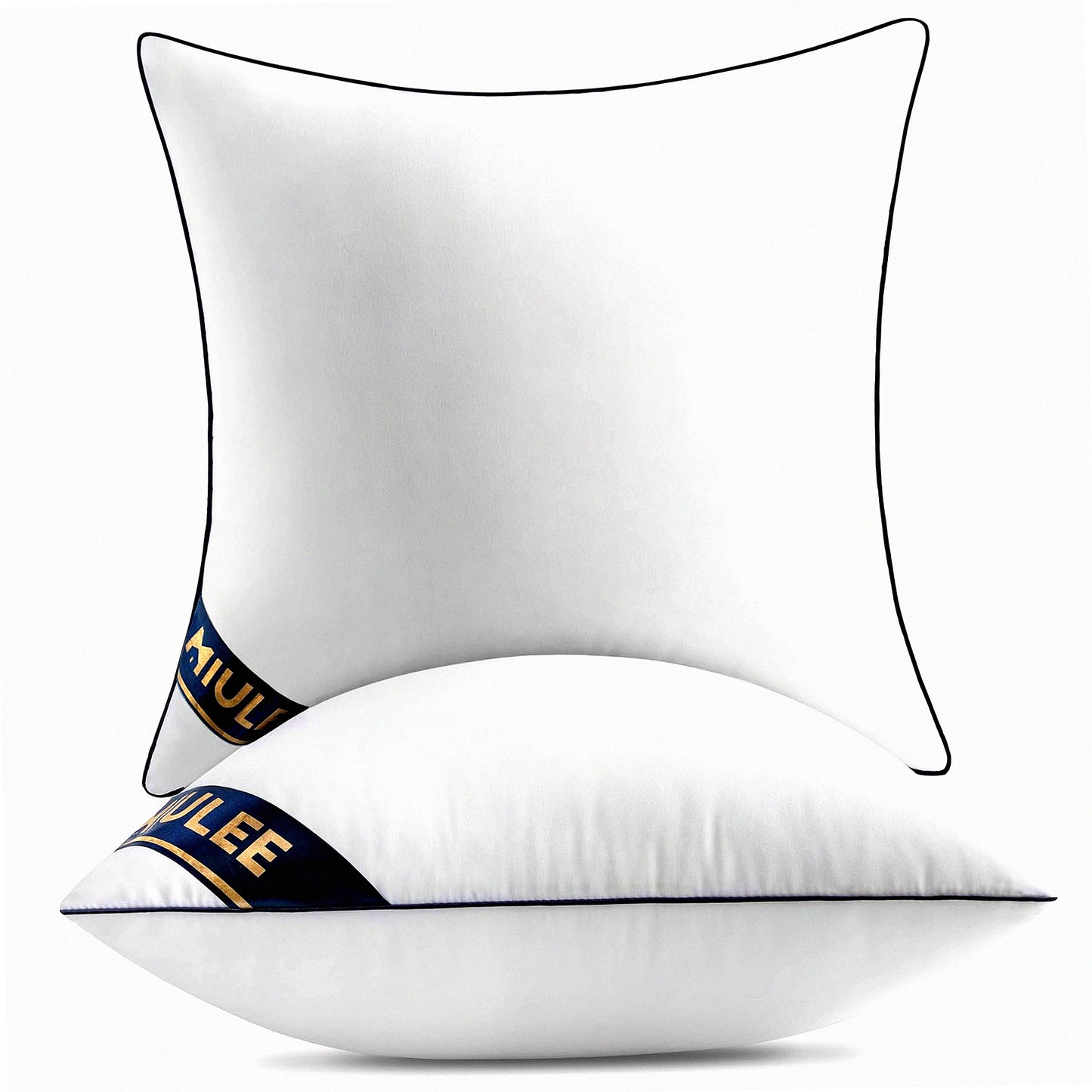 Premium Down Alternative 20x20 Pillow Inserts - Set of 2 Decorative Throw Pillows for Sofa & Couch - Fluffy Pillow Stuffer - 20 Inch Square Cushion Inserts - Hypoallergenic & Plush Fill - Pack of 2