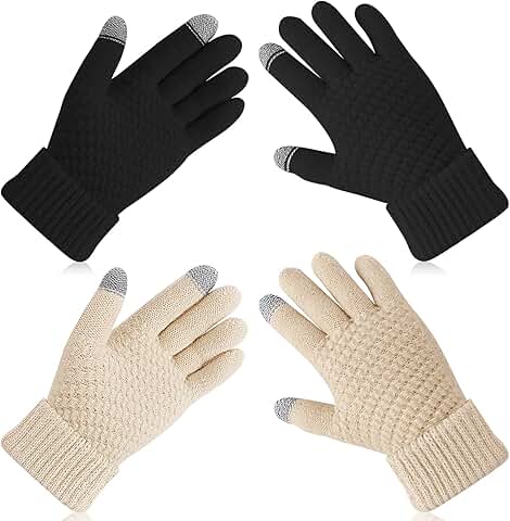 Two Pairs Women's Warm Fleece Winter Touch Screen Gloves