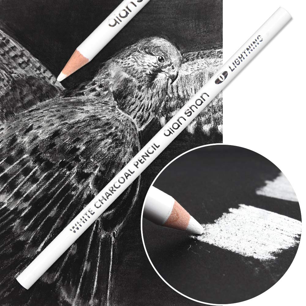 2 Pcs White Sketch Charcoal Pencils