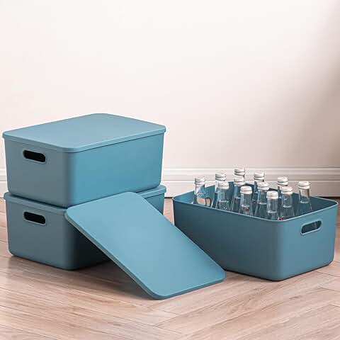 Blue Plastic Storage Bins with Lids and Handles