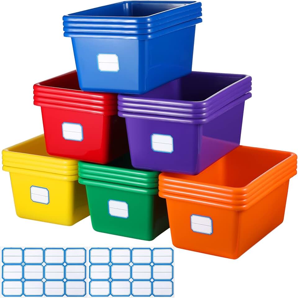 24 Pack Plastic Cubby Storage Bins with Labels