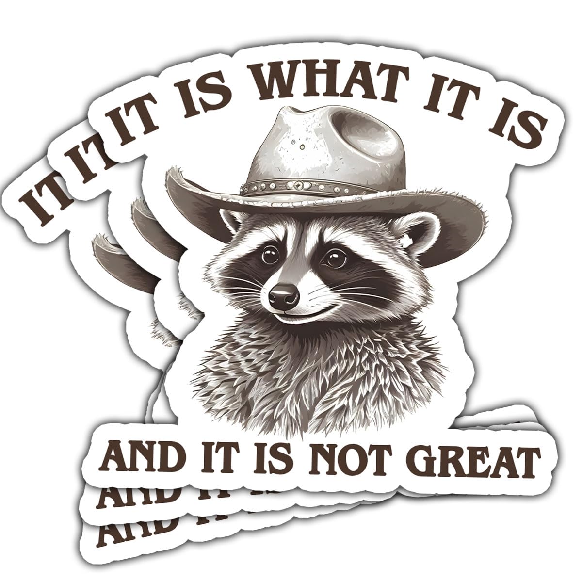 Funny Raccoon Sticker Pack for Laptop and Water Bottle