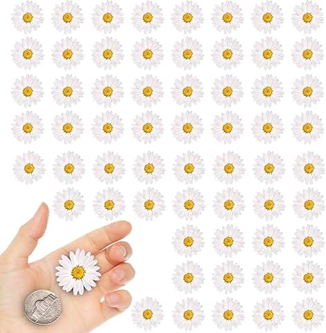 White Little Daisy Dried Flowers for Crafts, 60 Pieces