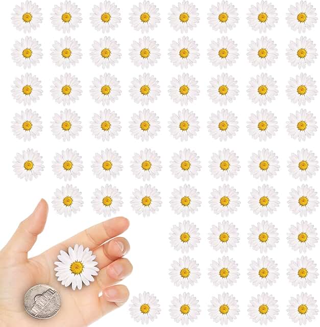 White Little Daisy Dried Flowers for Crafts, 60 Pieces